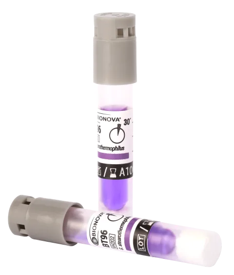 BİONOVA BT 96 - 30 DAKİKA